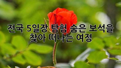 전국 5일장 탐험: 숨은 보석을 찾아 떠나는 여정