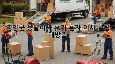 영양군 용달이사 후기🏠 혼자 이사 꿀팁 대방출!