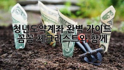 청년도약계좌 완벽 가이드: 꼼꼼 체크리스트와 함께